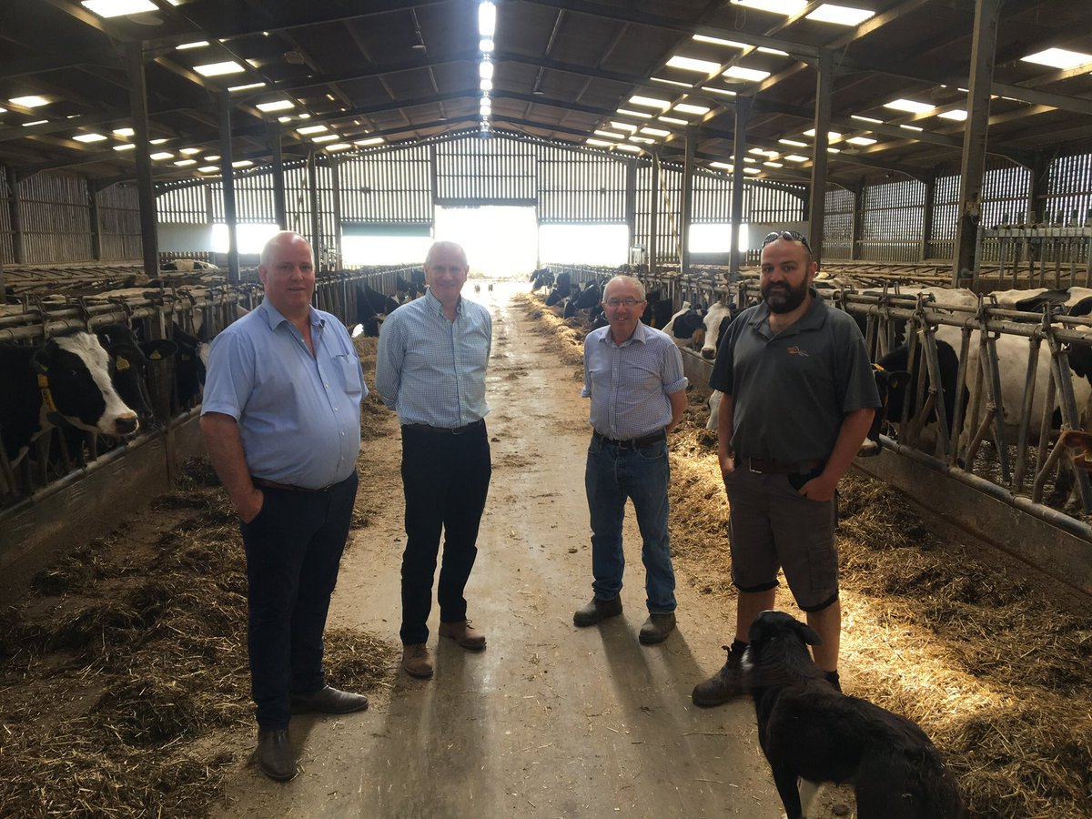 'Action needed now to support dairy farmers,' says AM | The Welsh ...