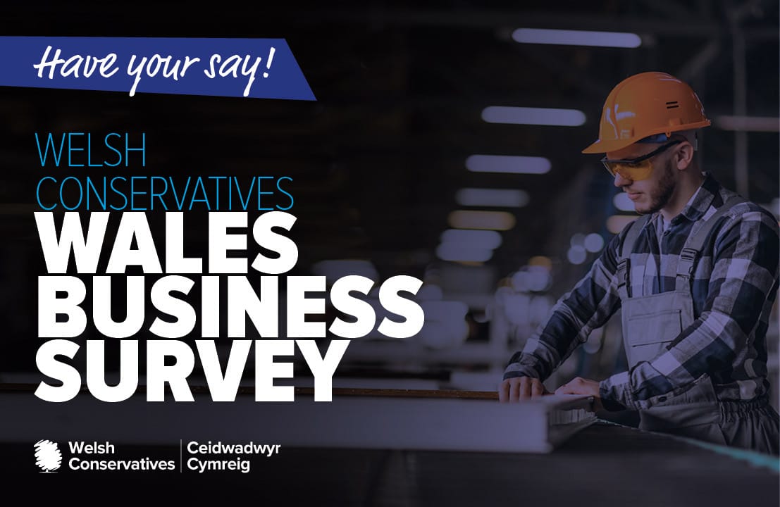Welsh Business Survey header