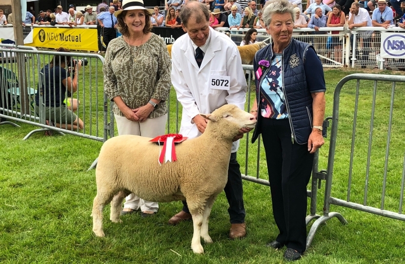 Janet Finch-Saunders MS at the 2018 Royal Welsh Show.