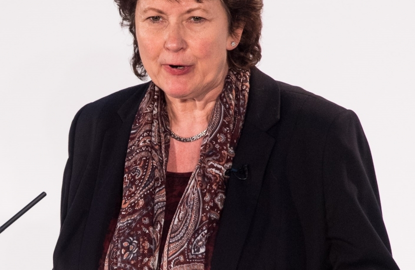 Angela Burns MS, the Shadow Health Minister.