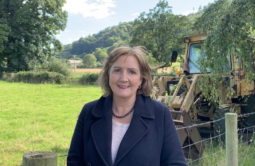 Janet Finch-Saunders, the Shadow Minister for Rural Affairs.